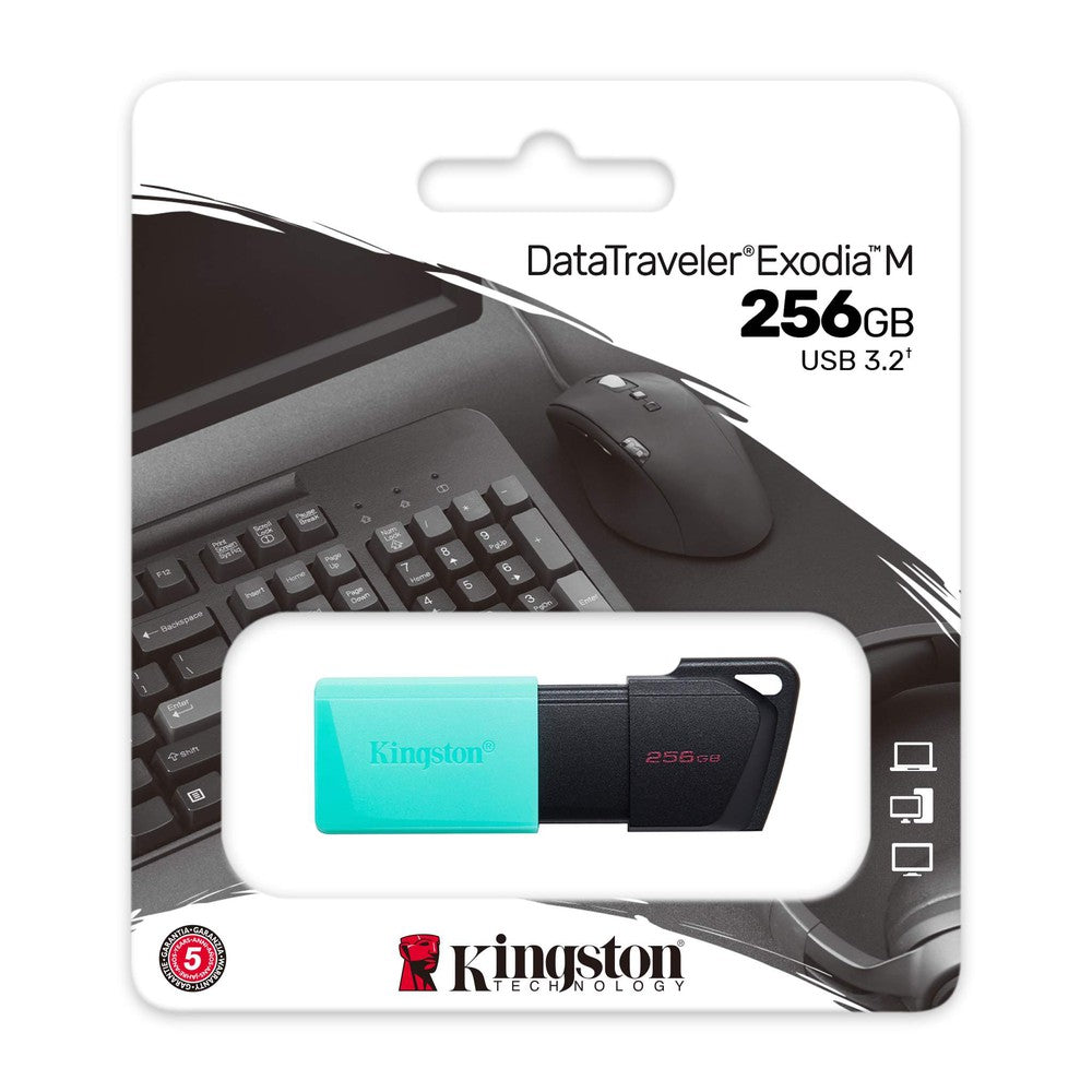 Clé USB Kingston DataTraveler® Exodia M 256Go USB 3.2