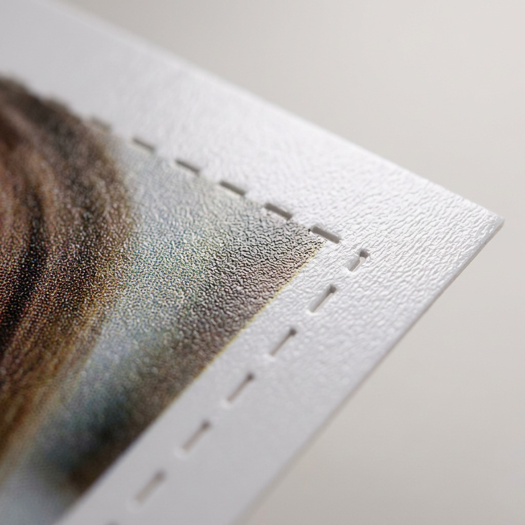 Canon SELPHY RP-108 – Colour Ink and Paper Set